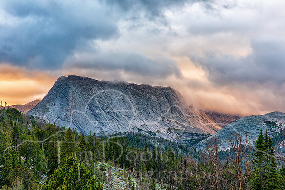 1S5A6277-Edit