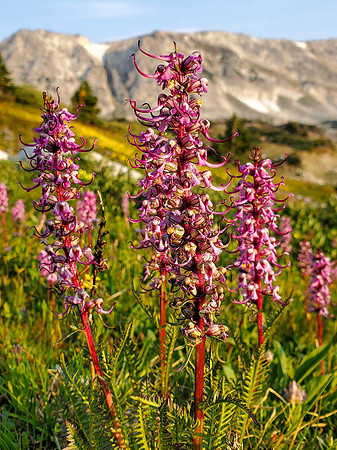 20200823_072521-Edit