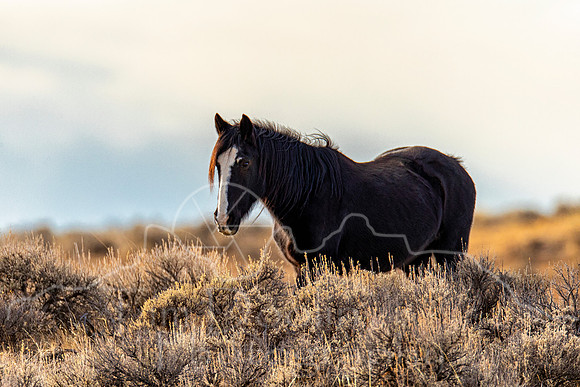 A83I7970-Edit