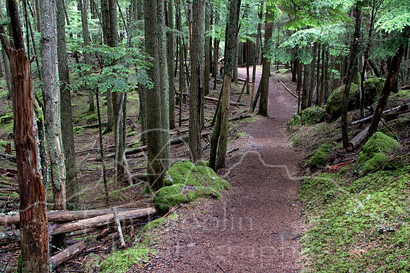 Orcas Island--15