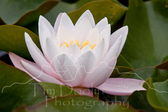 IMG_7173-Edit