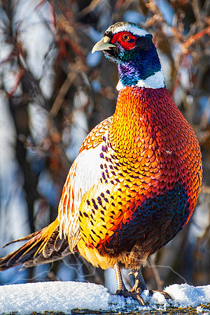 IMG_9999-Edit