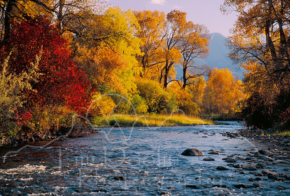 Tim Doolin--Tongue River Autumn--wild scenic
