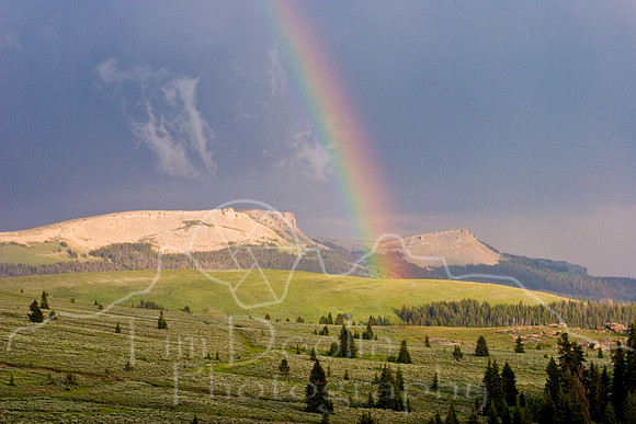 Bighorn Landscapes-0293