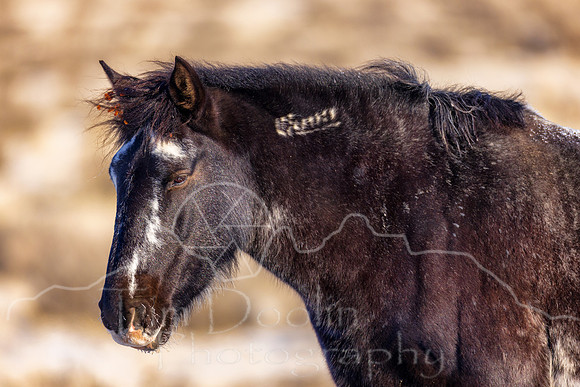 5D9A4851-Edit