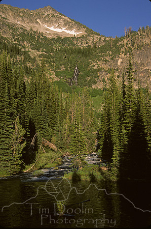IMG797.jpg