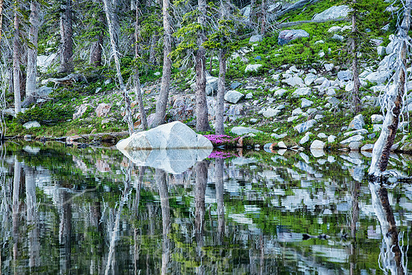 Wyoming Trip--summer 2014--4