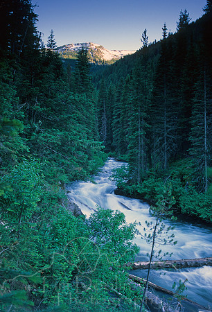 IMG825.jpg
