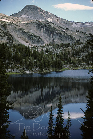 IMG794.jpg