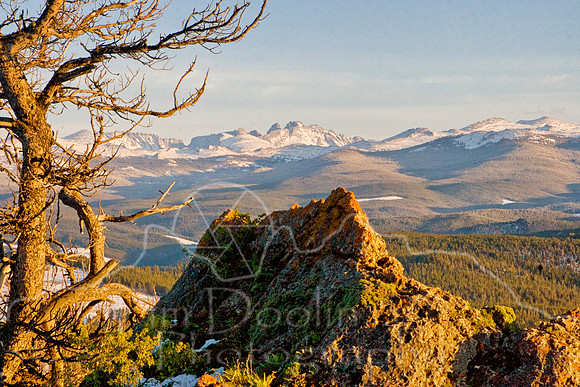 IMG_7397-Edit