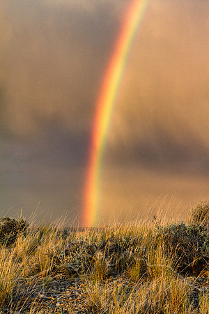 Antelope Camp--2011--4
