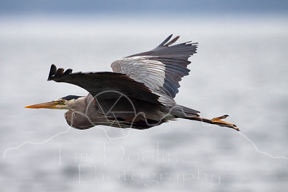 Orcas Island--4