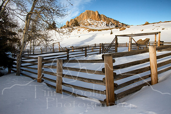 IMG_2556-Edit-2