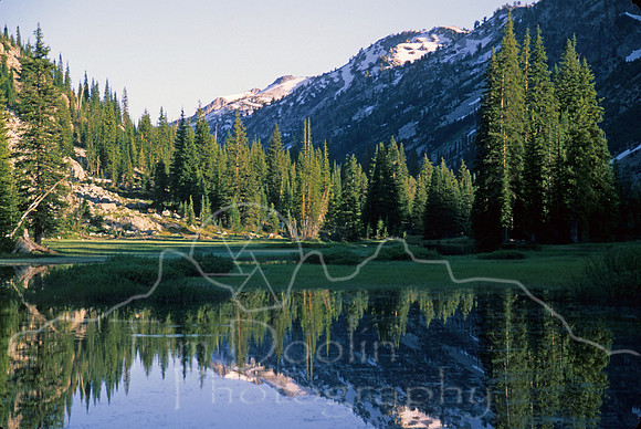 IMG791.jpg