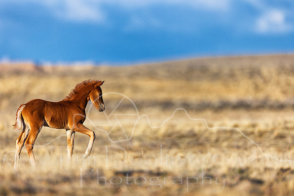 5D9A0329-Edit