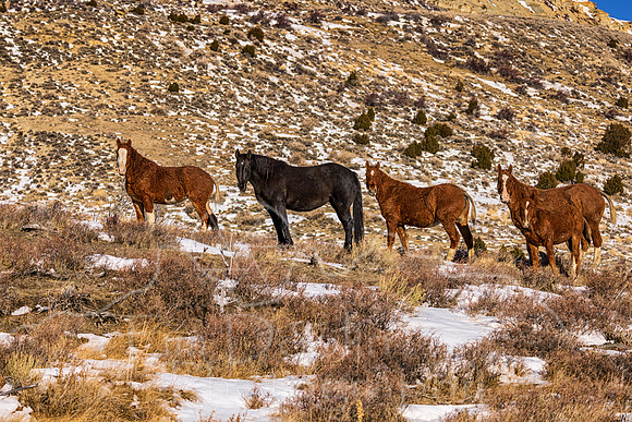 5D9A3067-Edit