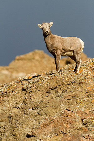 IMG_0561-Edit