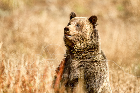 IMG_4667-Edit