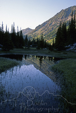 IMG798.jpg