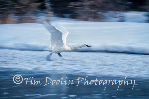 IMG_0476-Edit