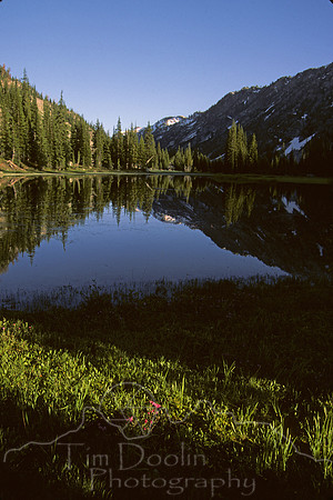 IMG795.jpg