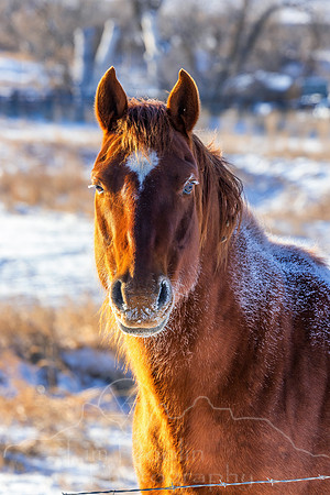 5D9A6358-Edit