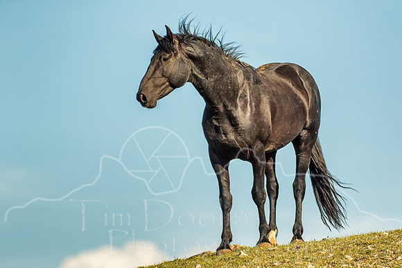 BU1A3758-Edit