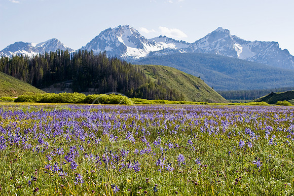 Sawtooths summer 2008-0040.jpg