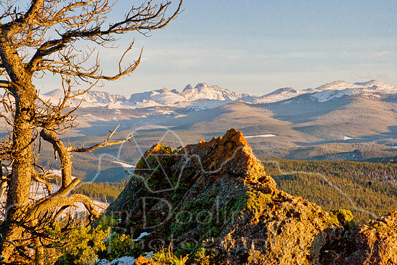 Big Horn Mountains--4