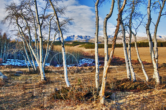 Circle Park-0668_HDR