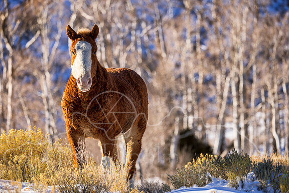 5D9A3369-Edit