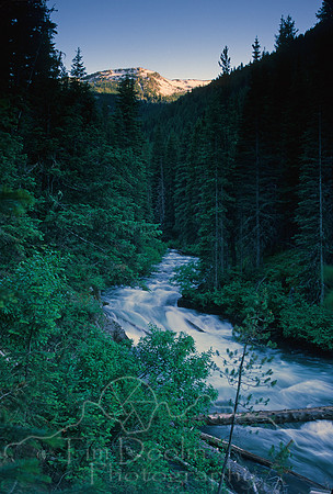 IMG826.jpg