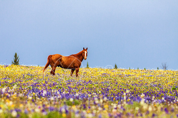 IMG_8883-Edit-2