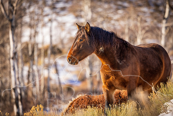 5D9A3287-Edit