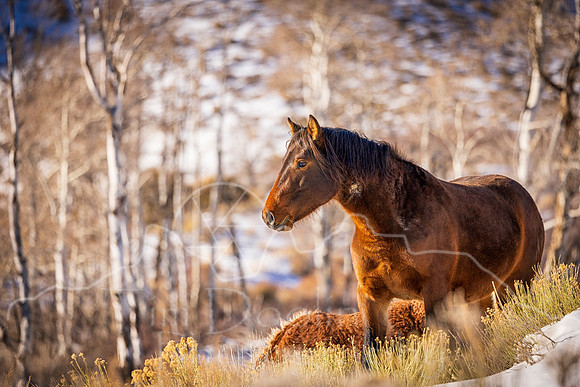 5D9A3285-Edit