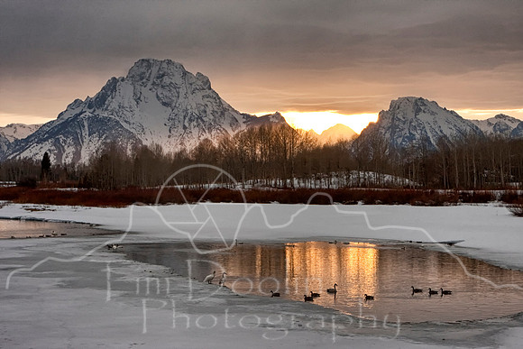 IMG_0156-Edit-Edit