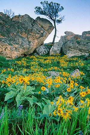 00641Scan-101202-0016-Edit