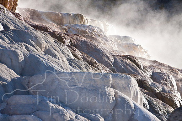 Yellowstone 2009-6005.jpg