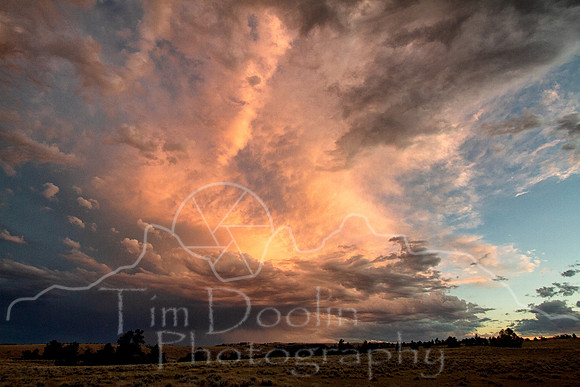 Antelope Camp--2011--11