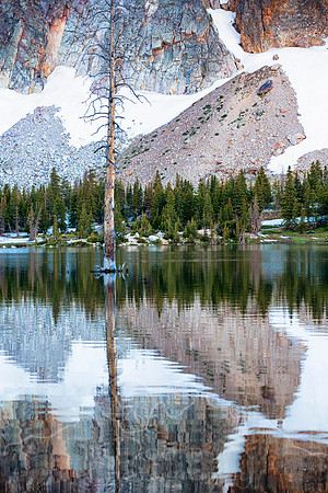 Wyoming Trip--summer 2014--5
