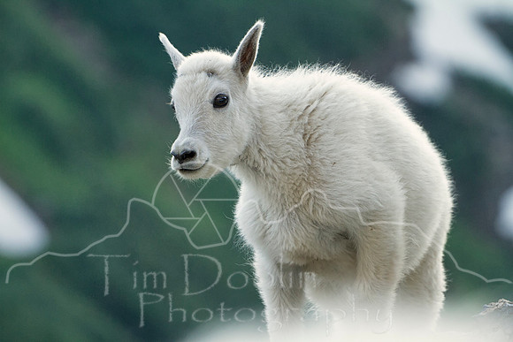 IMG_0489-Edit