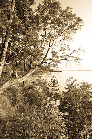 Orcas Island-7961.jpg