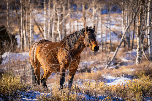 5D9A3392-Edit