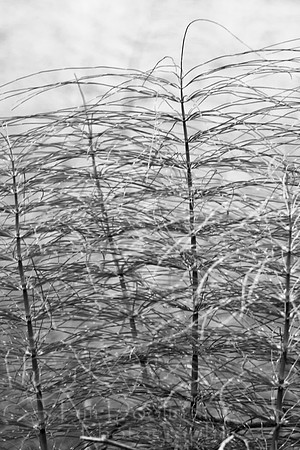 IMG_6737-Edit-Edit-2