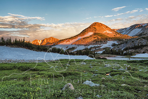 5A9A1342-Edit