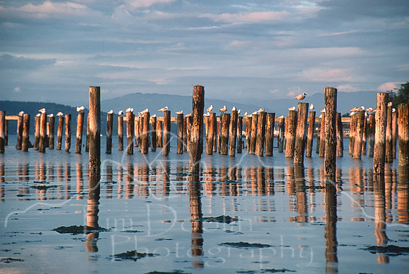 Orcas Island--3-2