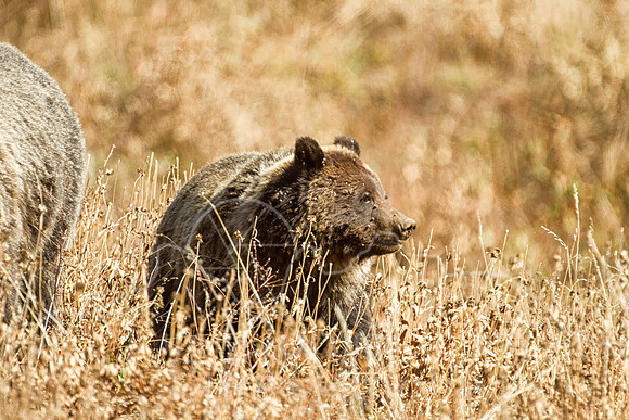 IMG_4525-Edit