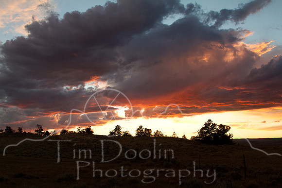 Antelope Camp--2011-2535