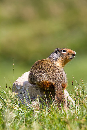 IMG_0605-Edit