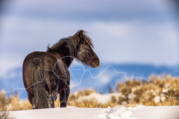5D9A1489-Edit-2